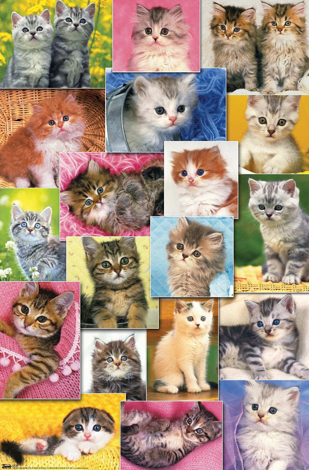 Kitty Mystery Customs