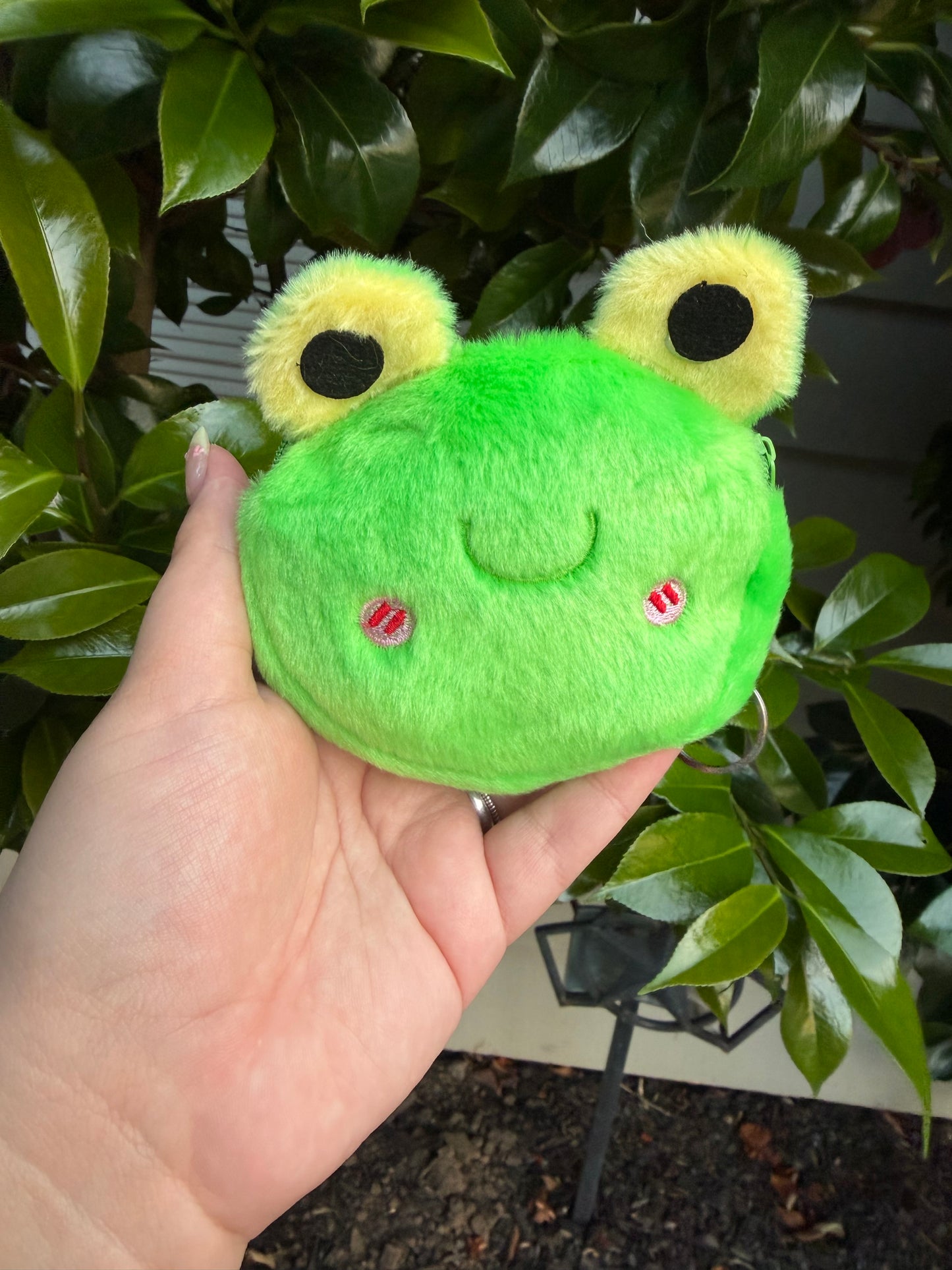 Frog Paci + Clip + Pouch Set (B Grade Pouch)