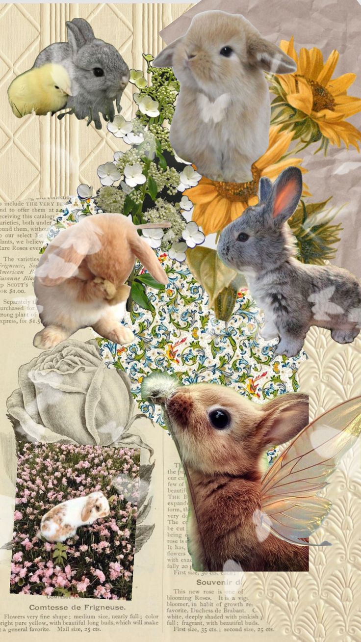 Bunny Mystery Customs