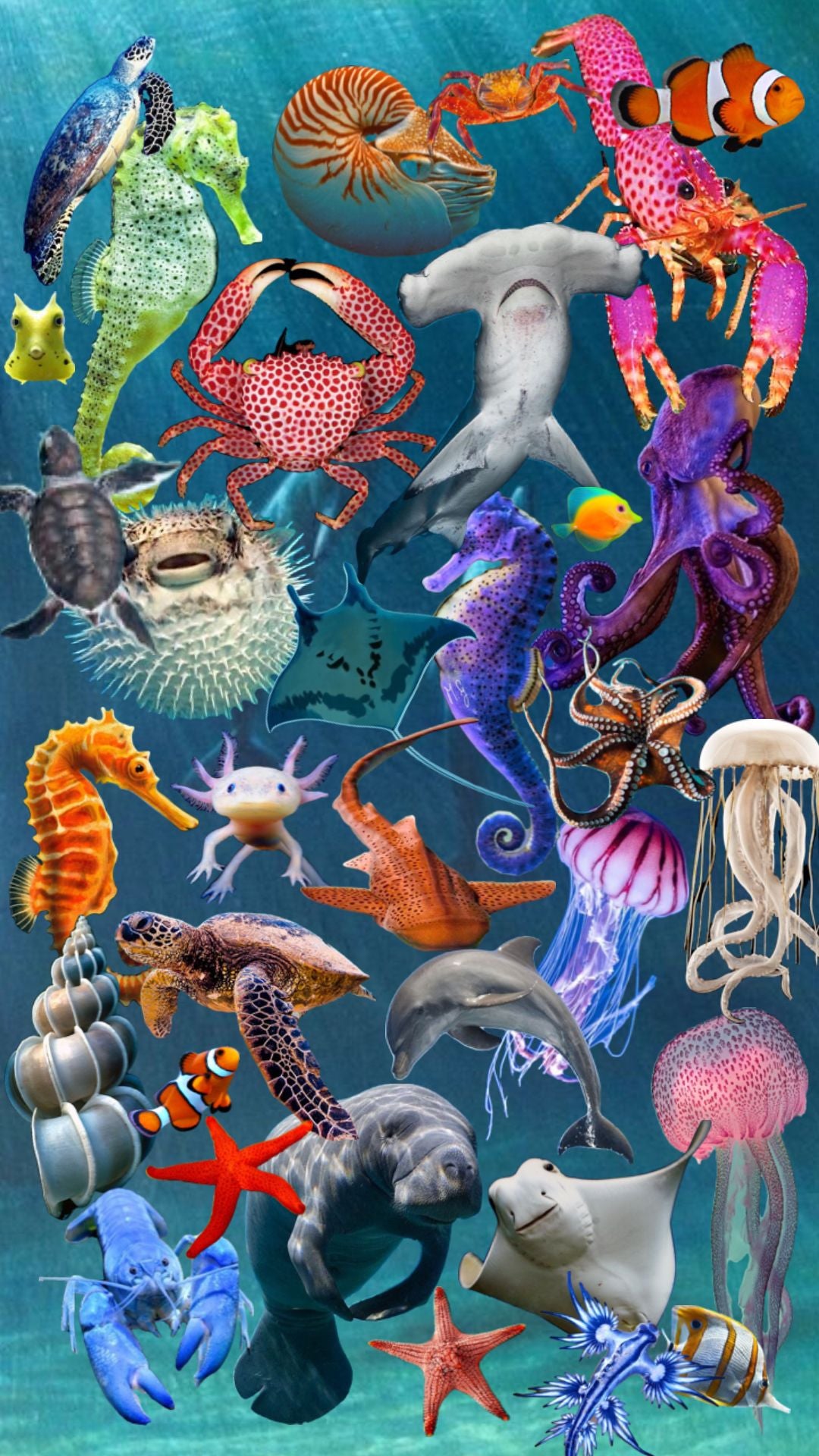 Under the Sea Mystery Customs