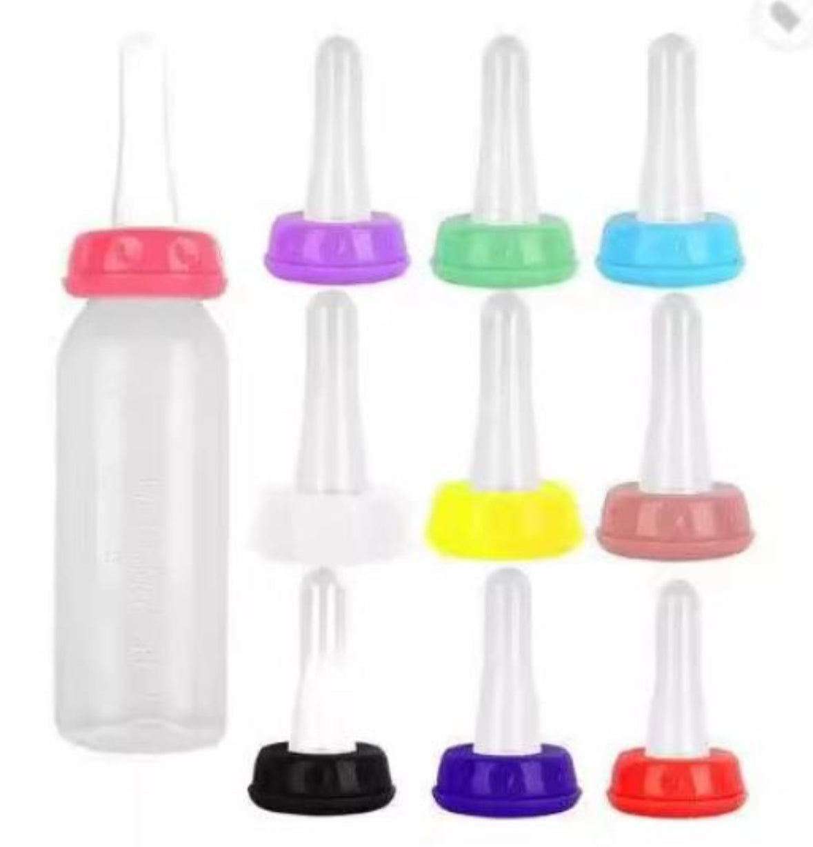 Adult Sized Bottle Preorders