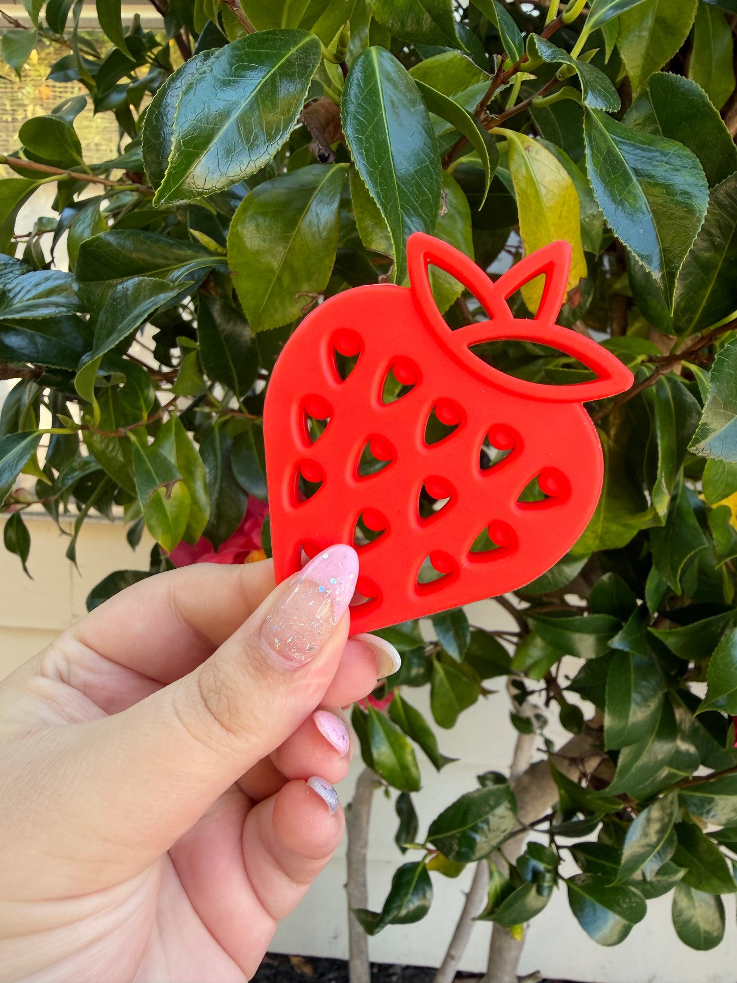 Strawberry Paci and Teether Set 🍓