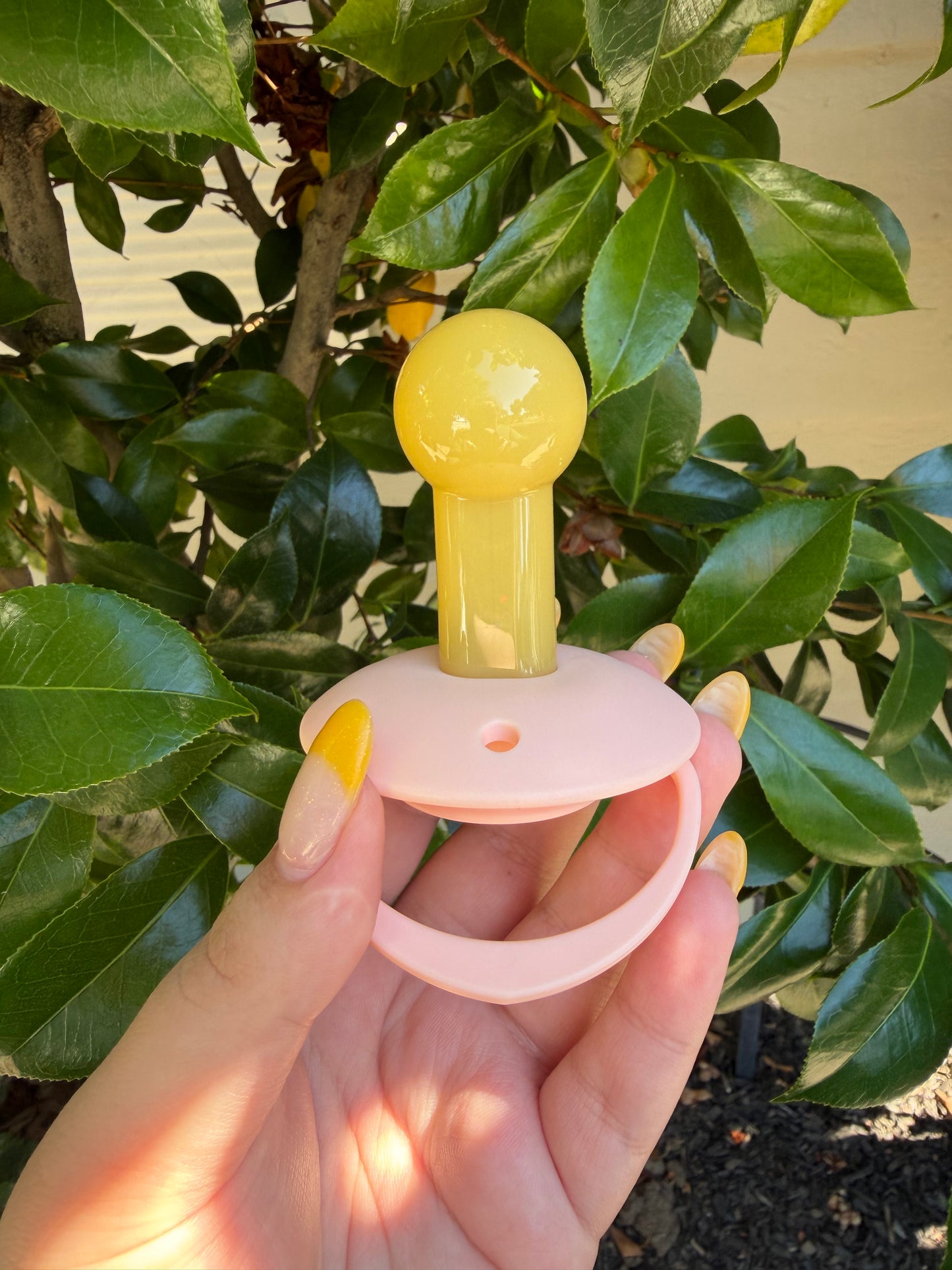 Vintage Nursery Adult Sized Pacifier