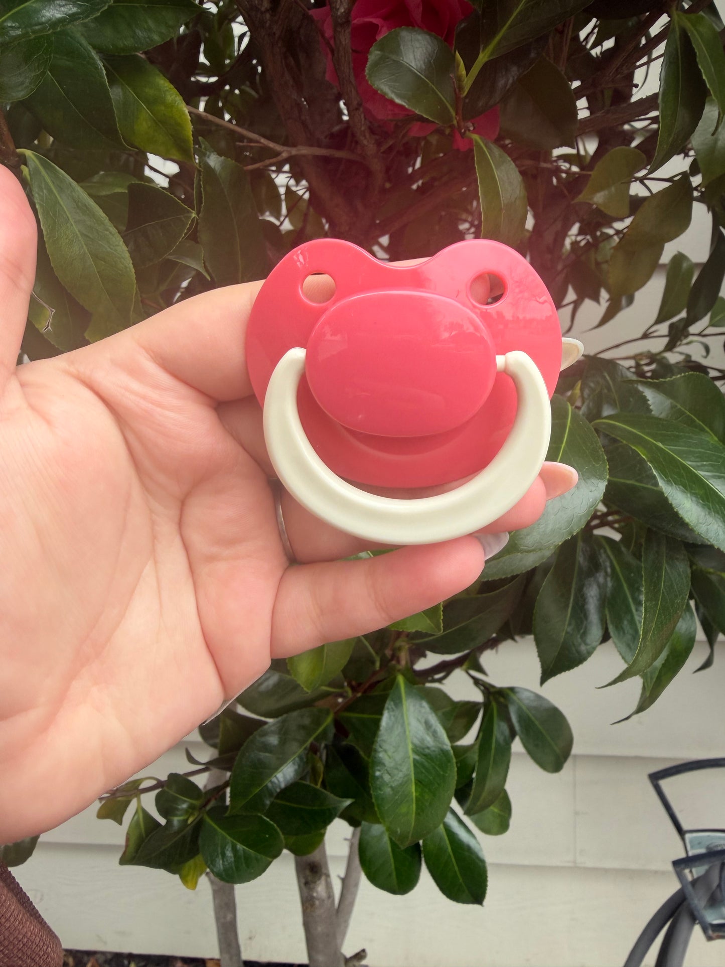 Smile Pop Pacifiers (Chocolate Covered Strawberry Collection)