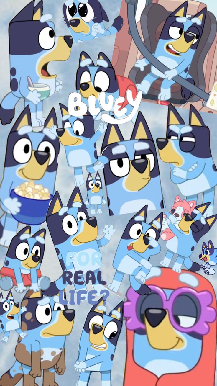 Bluey Mystery Customs