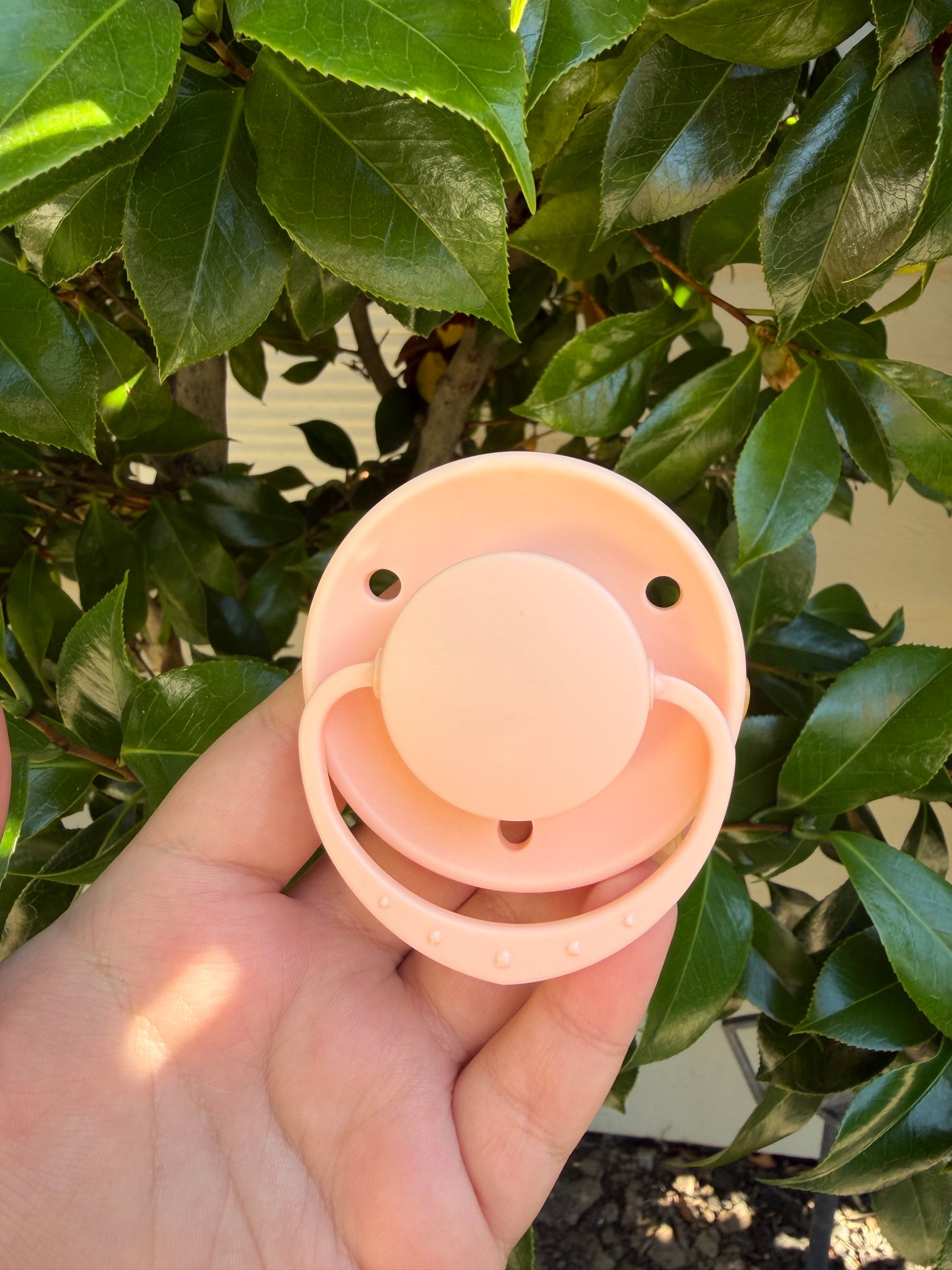 Vintage Nursery Adult Sized Pacifier