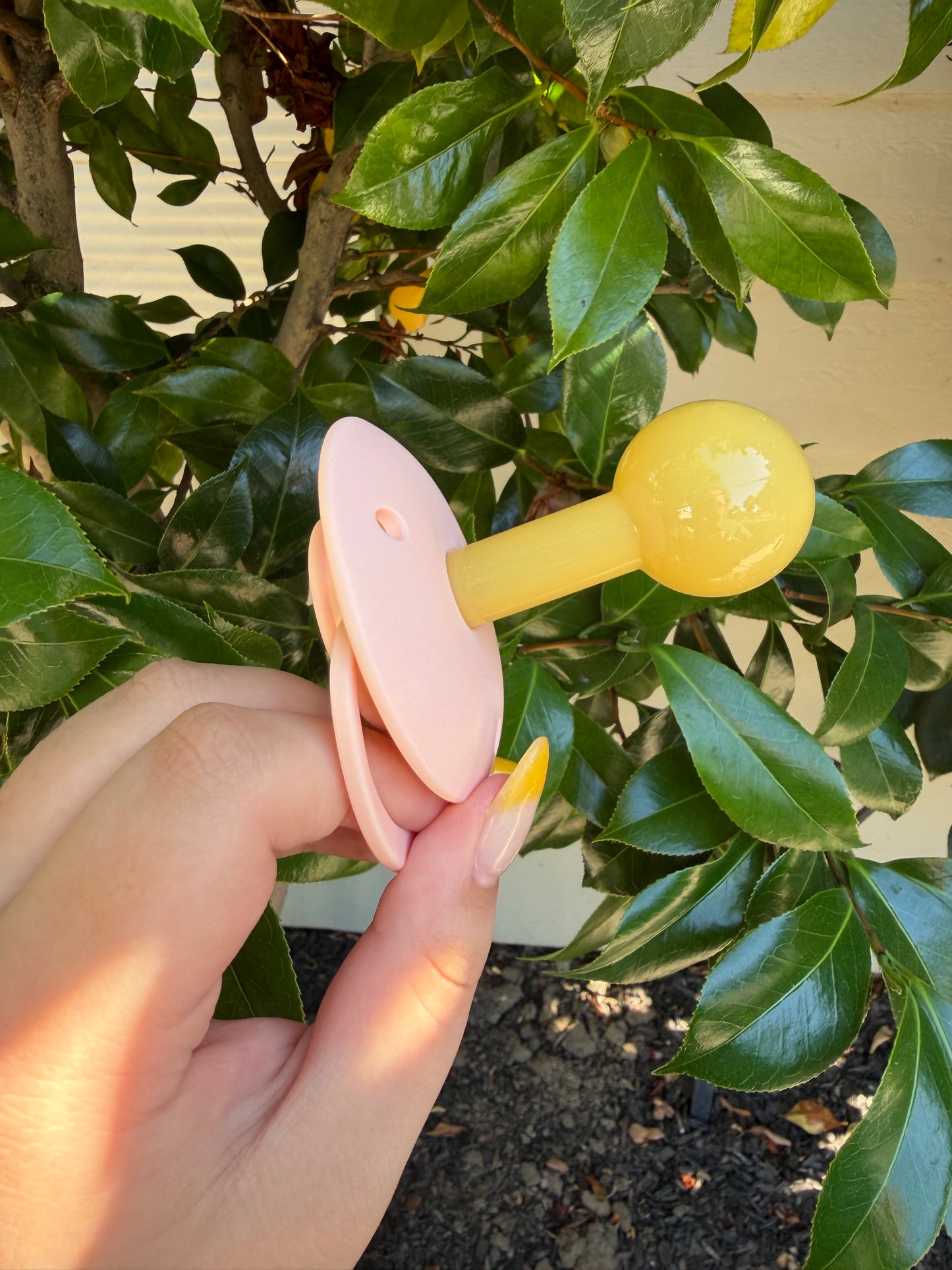 Vintage Nursery Adult Sized Pacifier