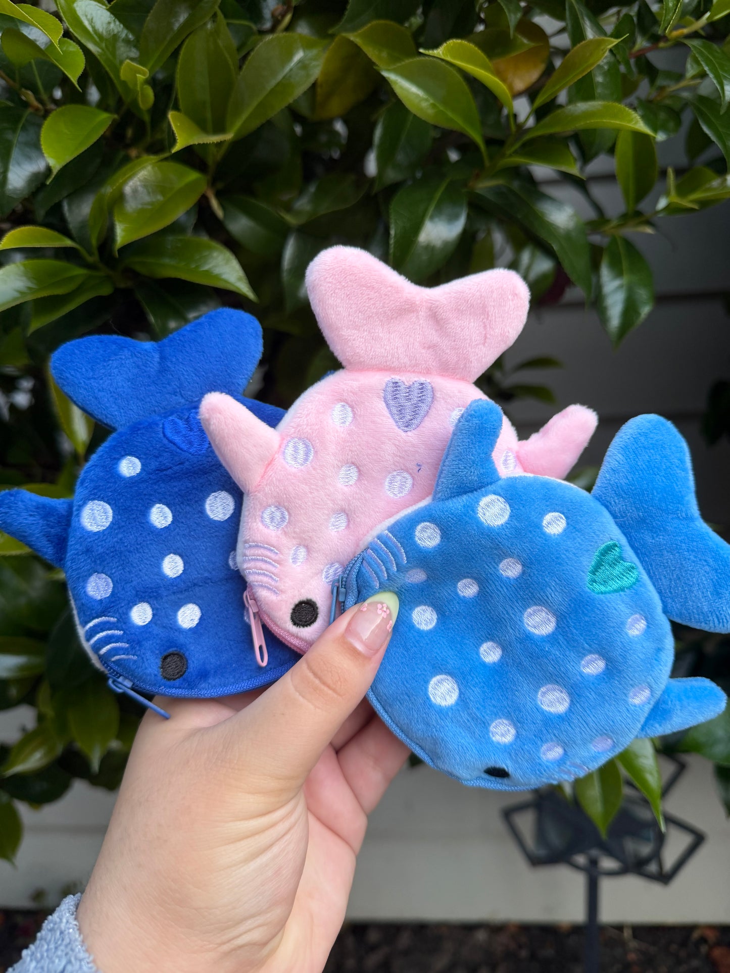 Whale Shark Sets!