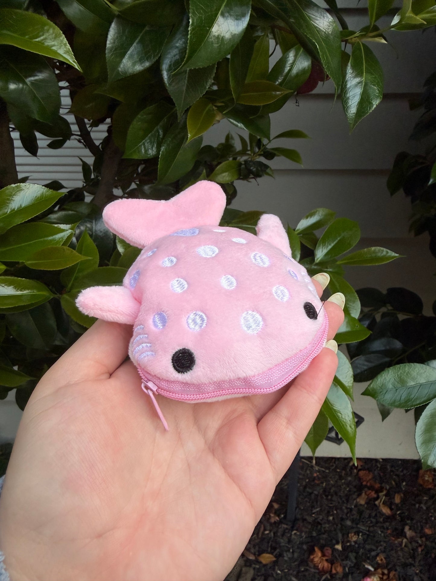 Whale Shark Sets!