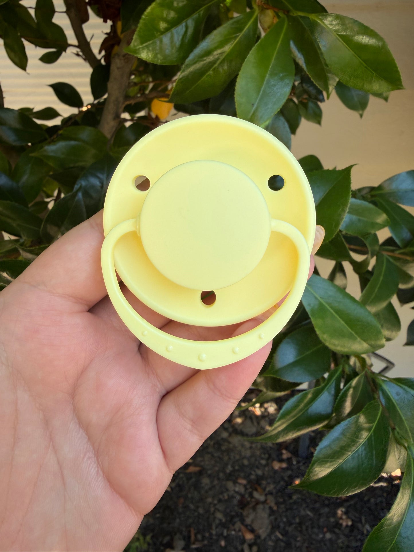 Vintage Nursery Adult Sized Pacifier