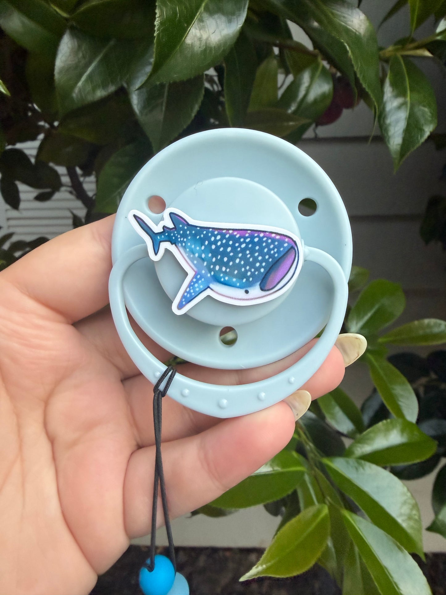 Whale Shark Sets!