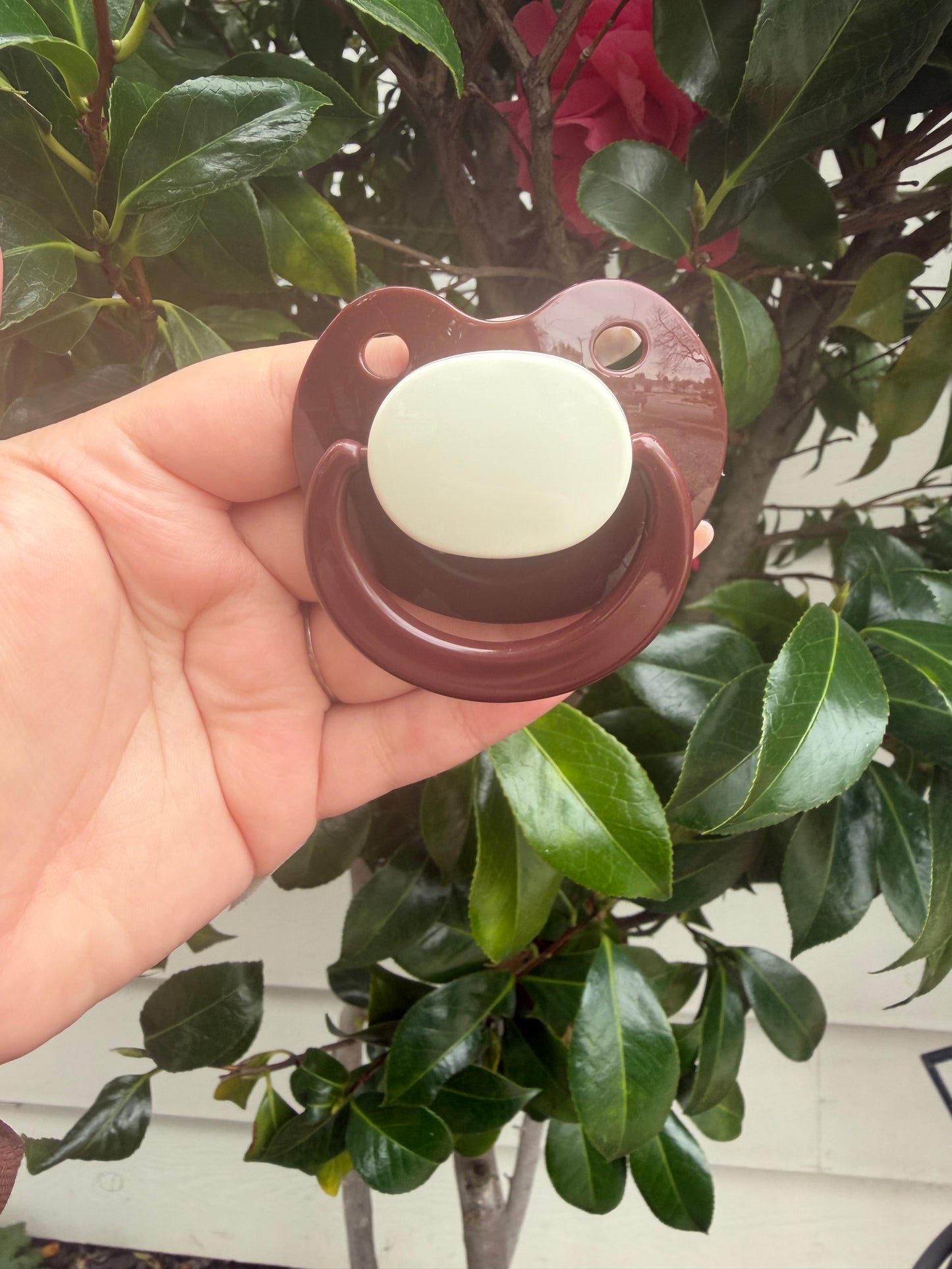 Smile Pop Pacifiers (Chocolate Covered Strawberry Collection)