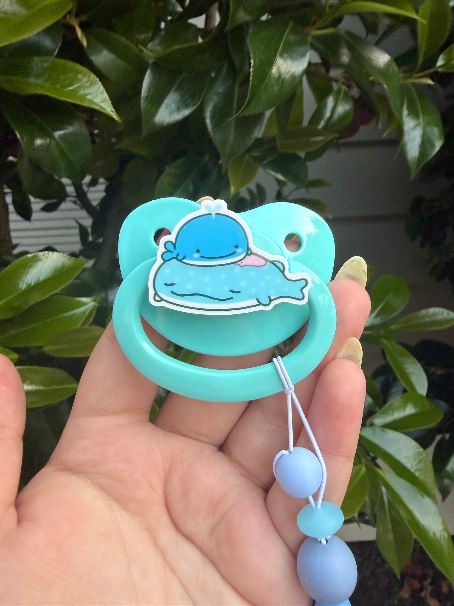 Whale Shark Sets!