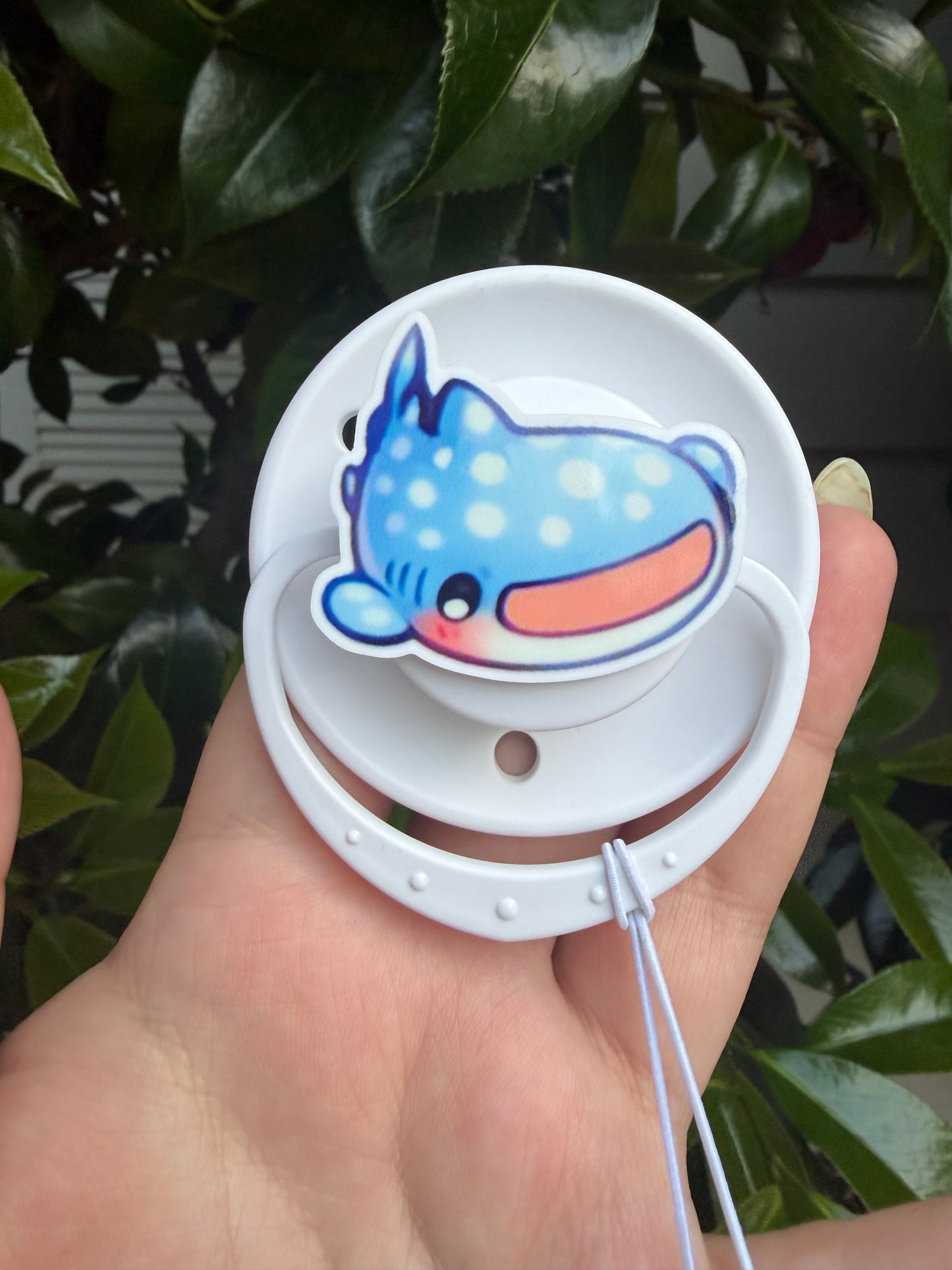 Whale Shark Sets!