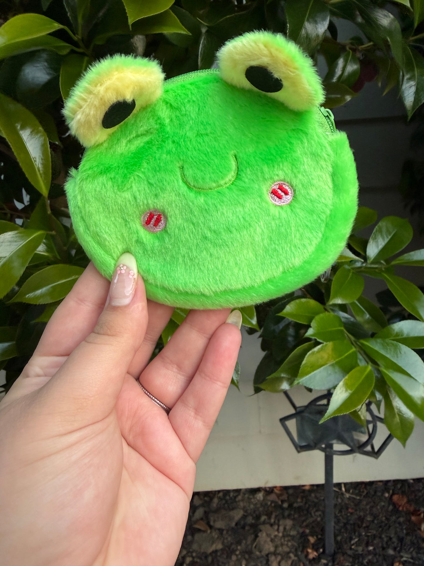 Frog Paci + Clip + Pouch Set (B Grade Pouch)